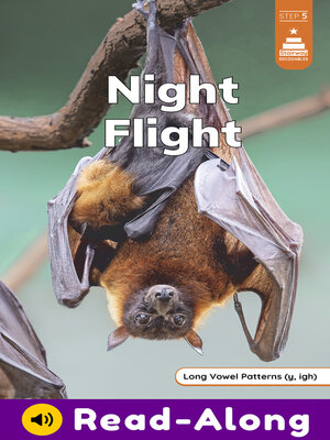 cover image of Night Flight